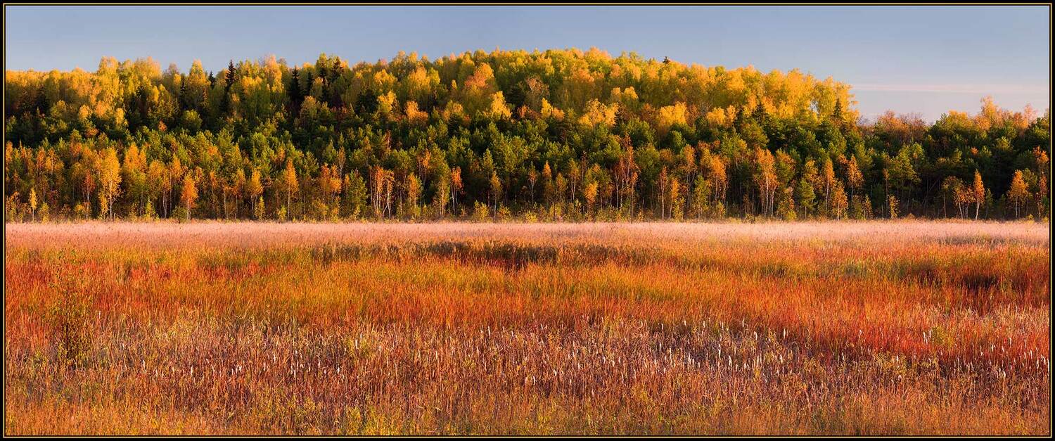 , izh Diletant (Валерий Щербина)