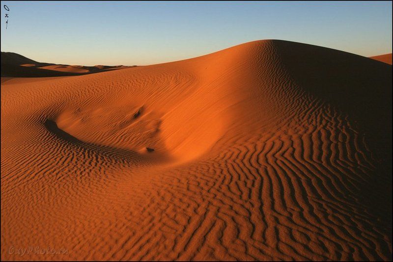 африка, марокко, africa, morocco, maroc, магриб, песок, дюны, пустыня, сахара, sand, dune, desert, sahara, эрг-шебби, erg-chebbi, merzouga, мерзуга Линии, формы... фото превью