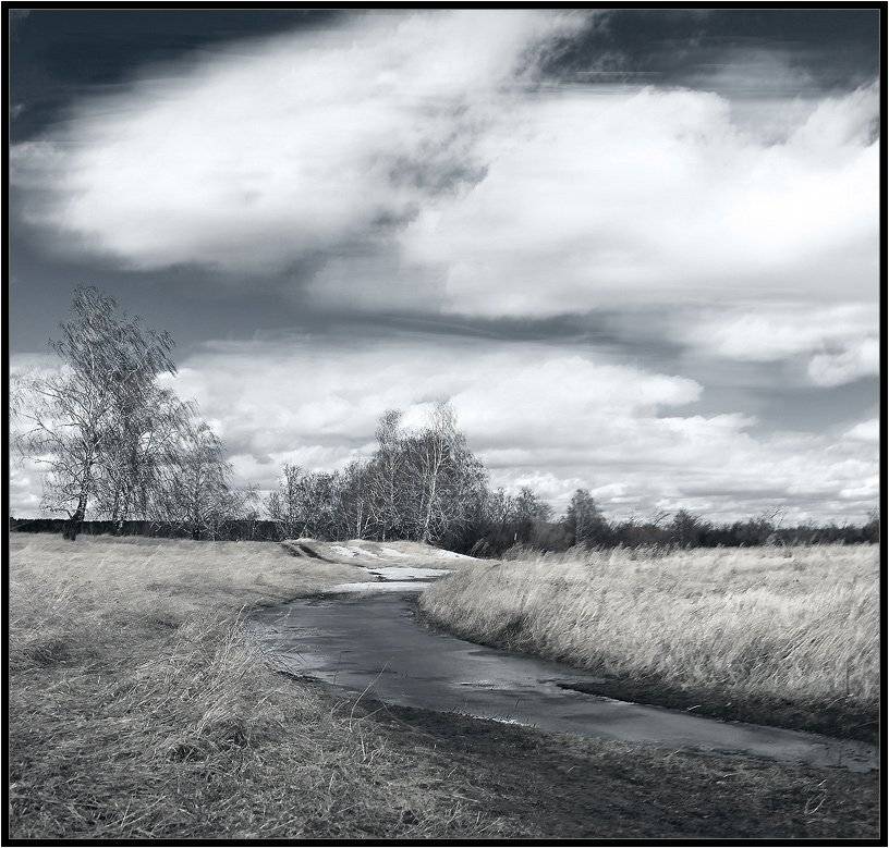 поле,поля,весна,осень,непогода,серебро,владимир,шипулин, Vladim_Shipulin