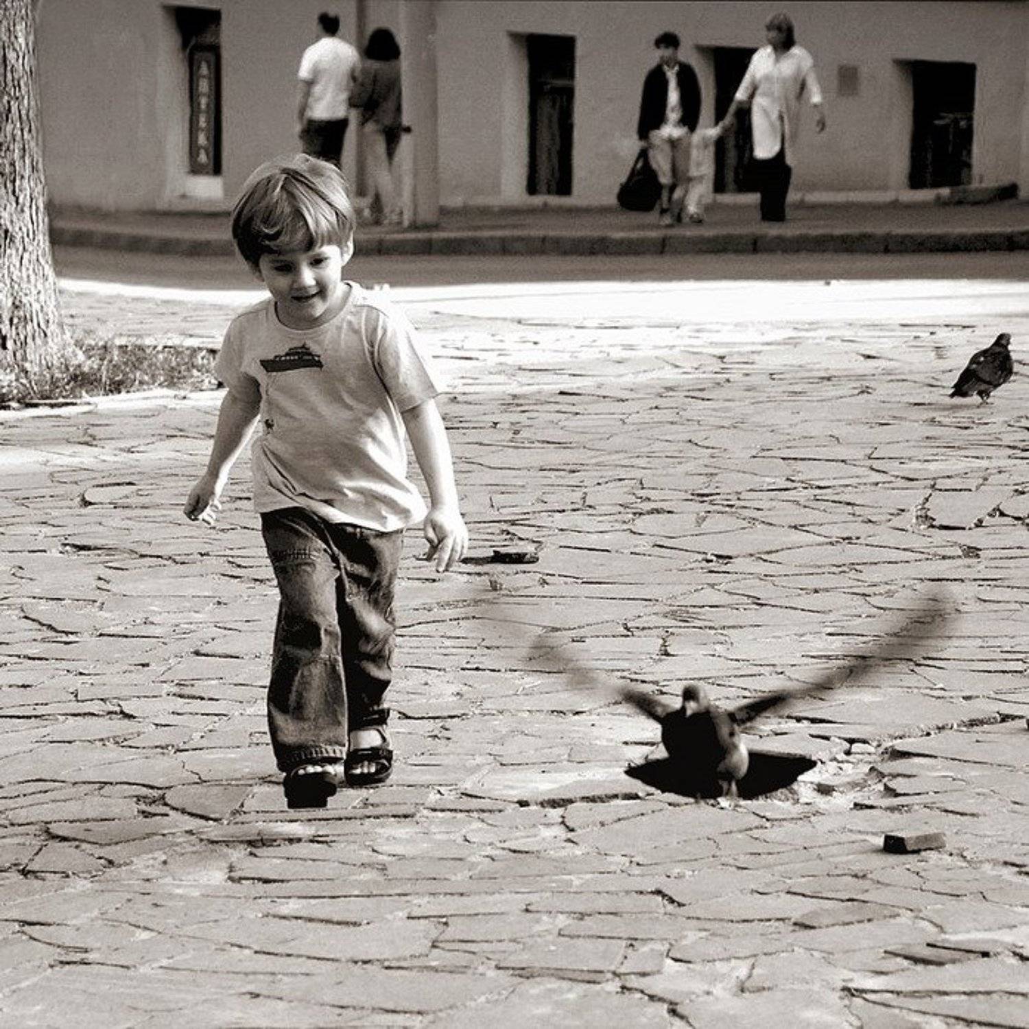 мальчик, голуби, gavroche