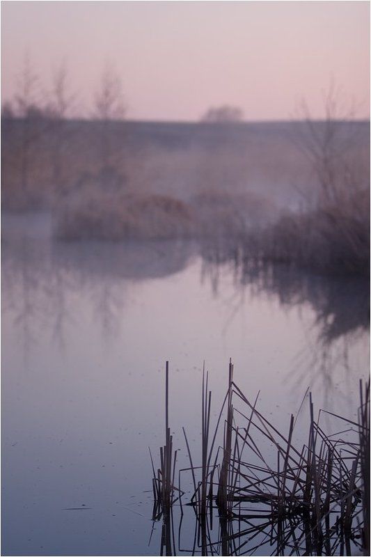 фомичево, болото, башкирия  фото превью