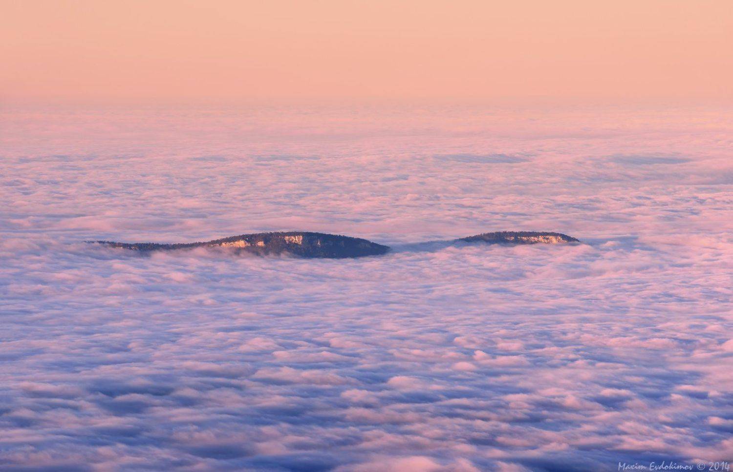 , Максим Евдокимов