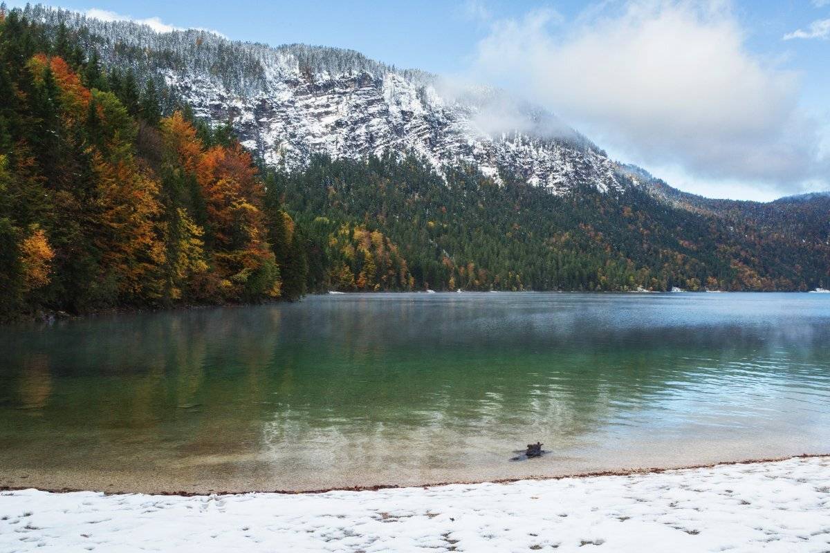 , Александр Удовиченко