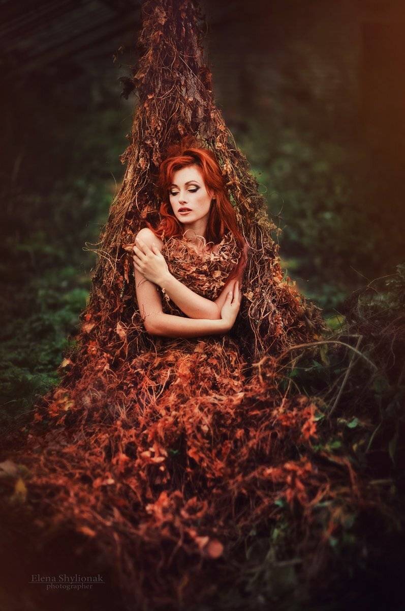 , Шиленок Елена