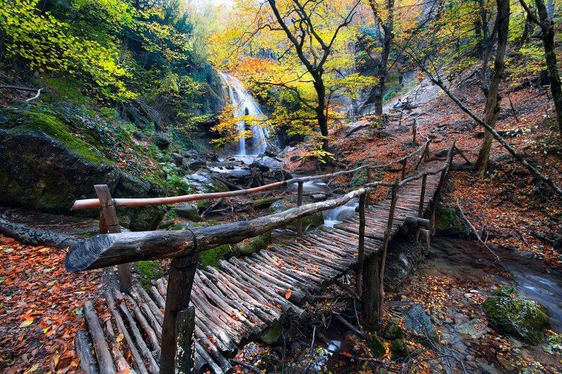 По дороге в сказку фото превью