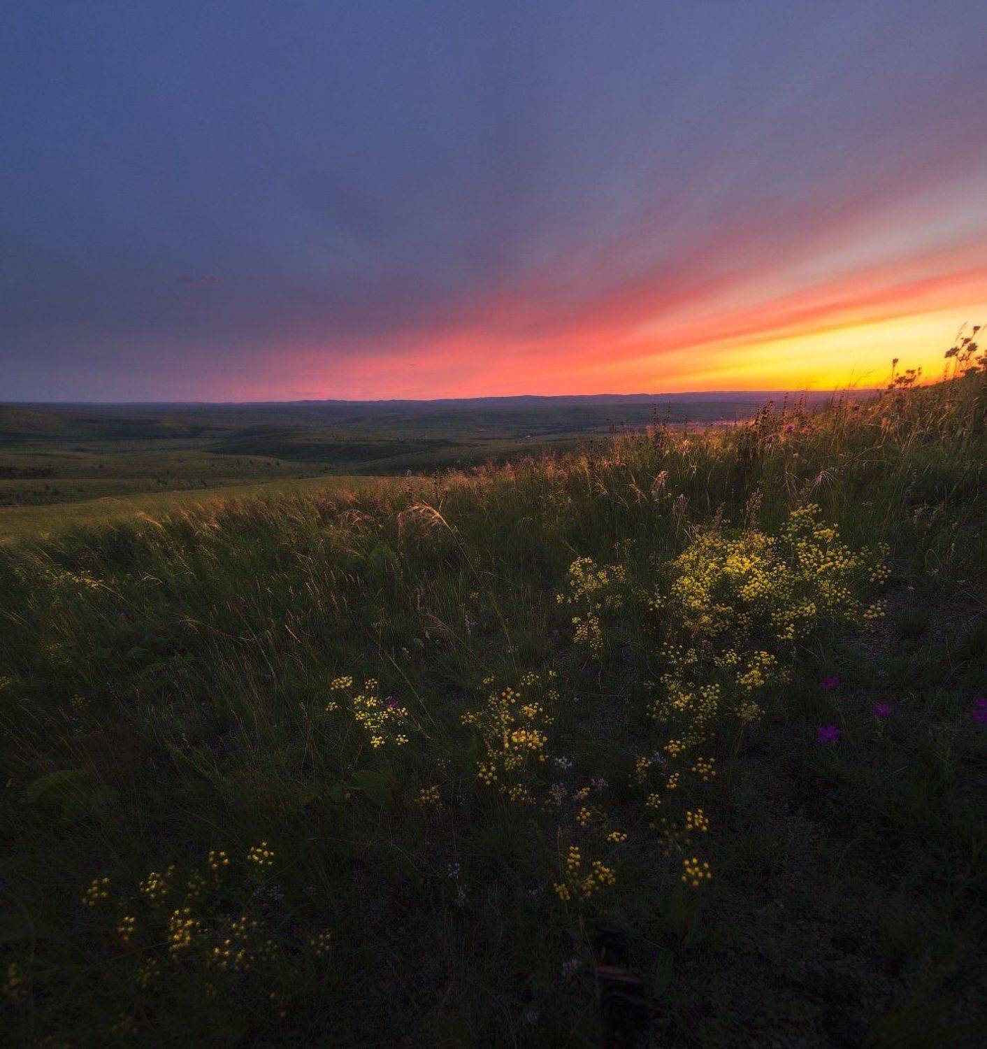 Забайкалье, Забайкальская степь, Закат в Забайкалье, Степь, Чернышевск, Чернышевский район, Франчук Антон
