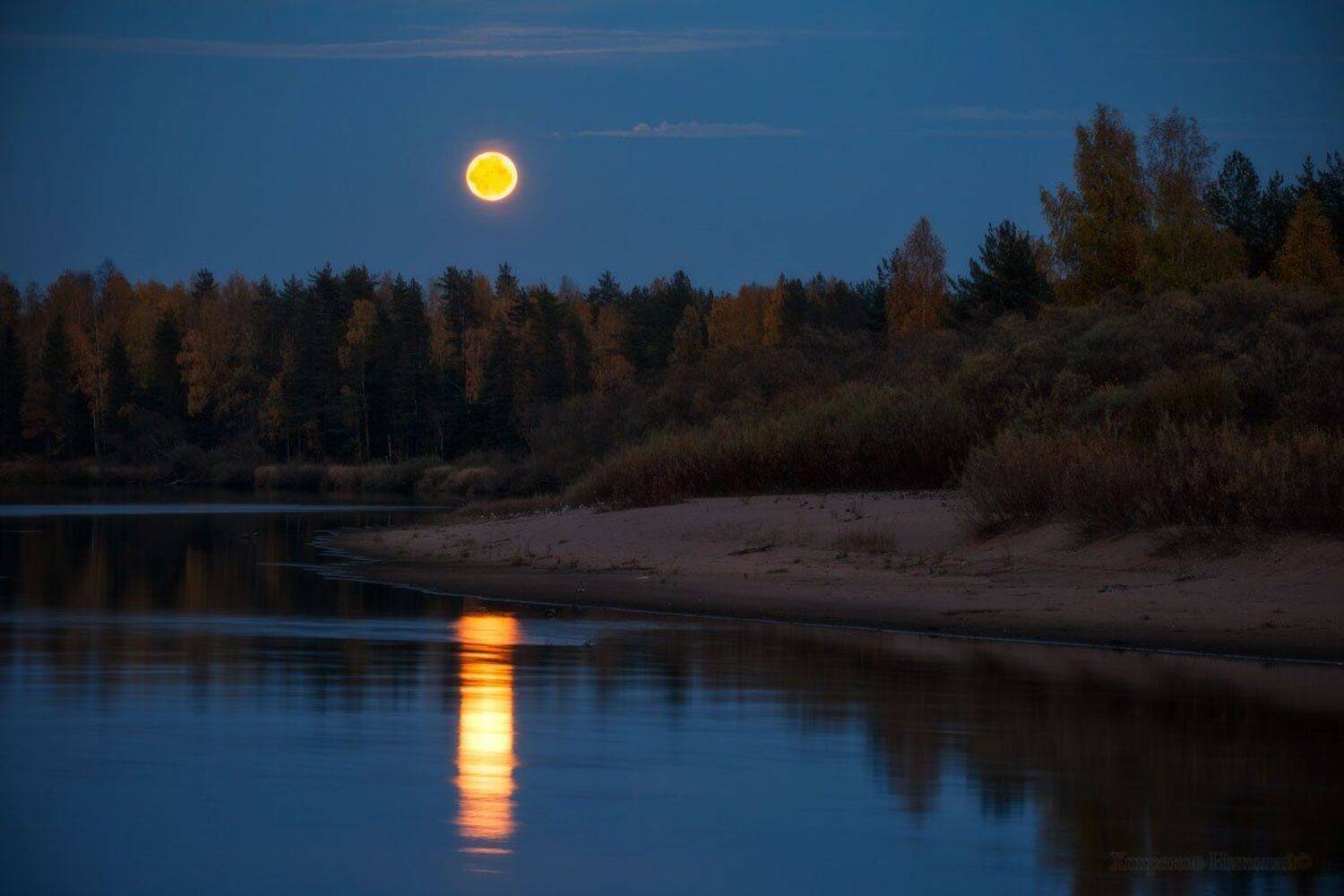, Хохряков Николай