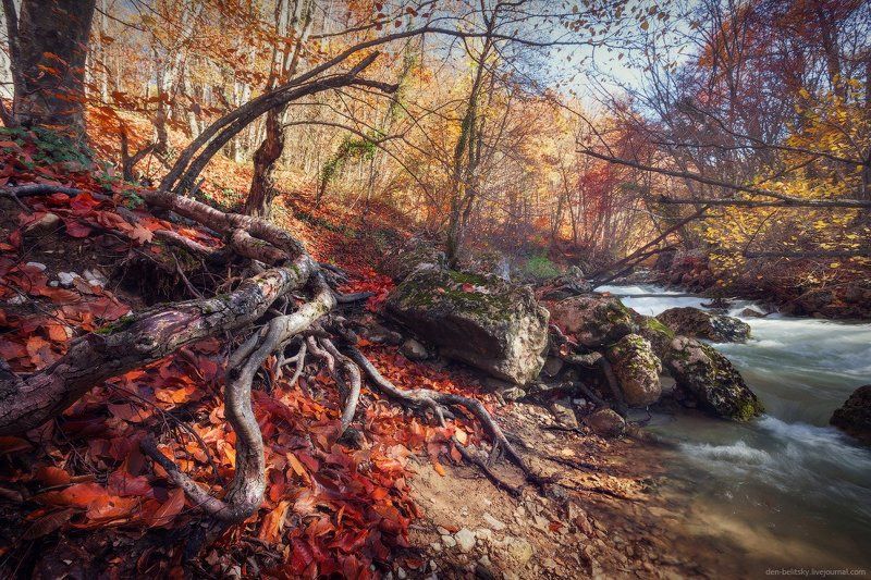 Осьминог спускается к реке фото превью