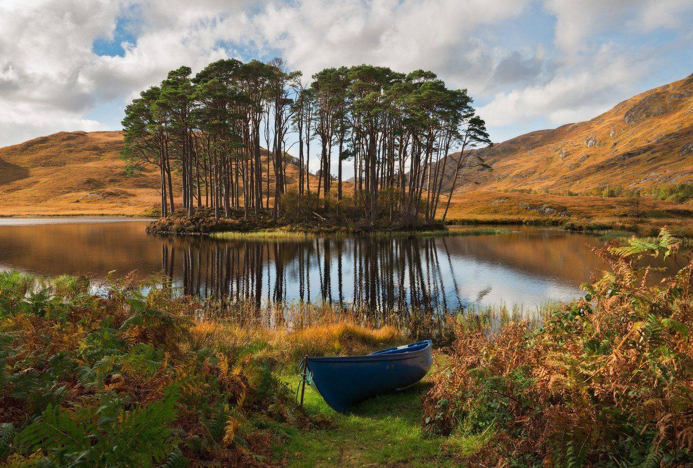, Андрей Ведерников