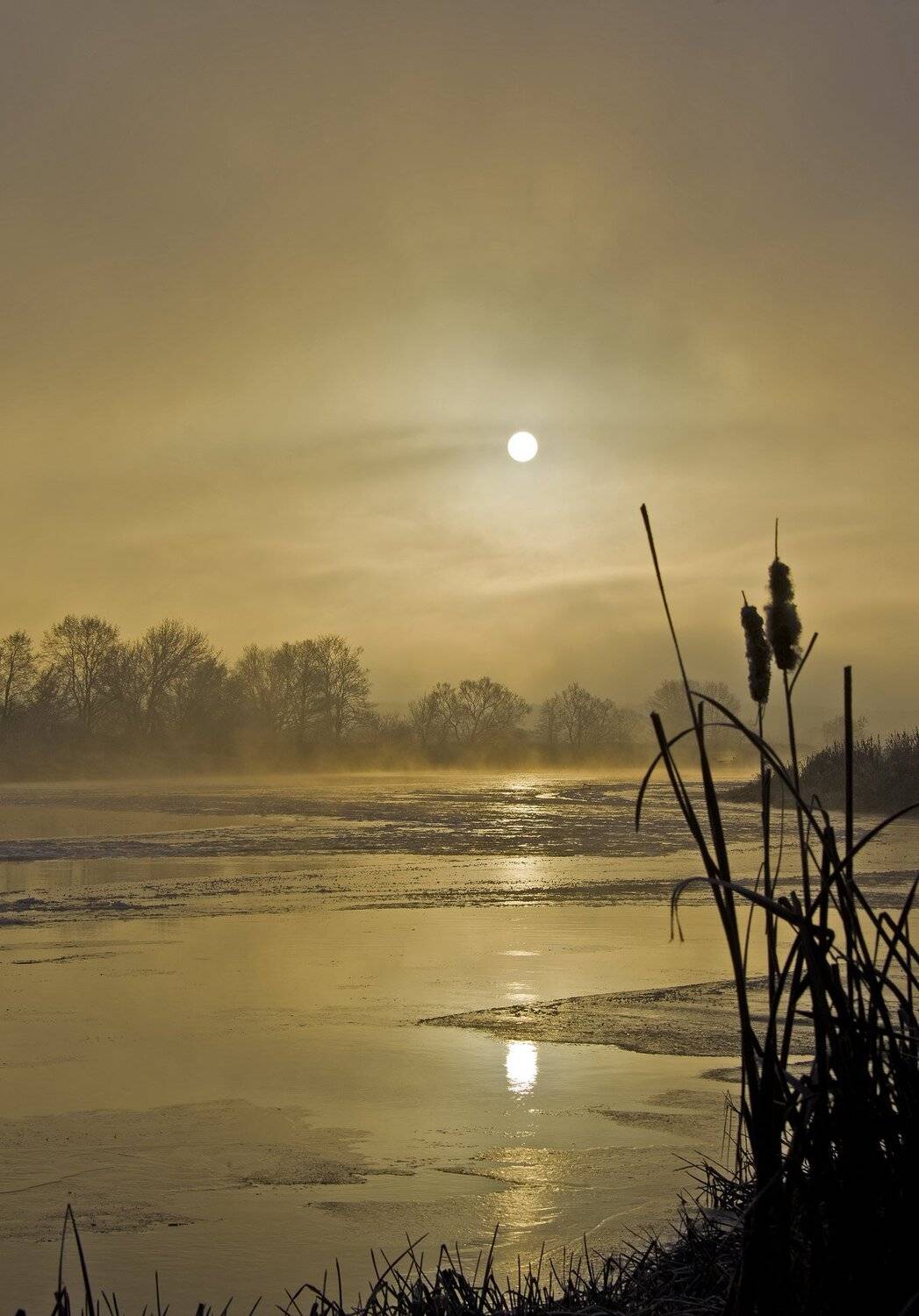, Валерий Кондратов