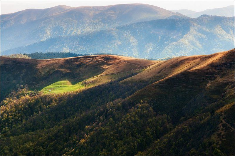 Рассветные полонины фото превью