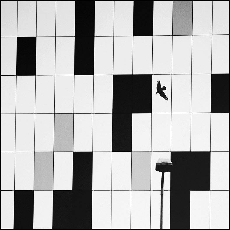 , Krzysztof Trojanowski