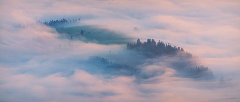Під рожевим простирадлом фото превью