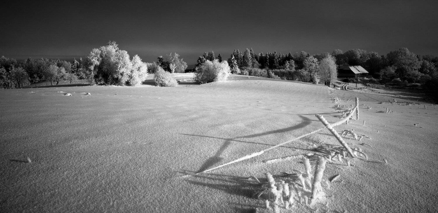 , Aivars