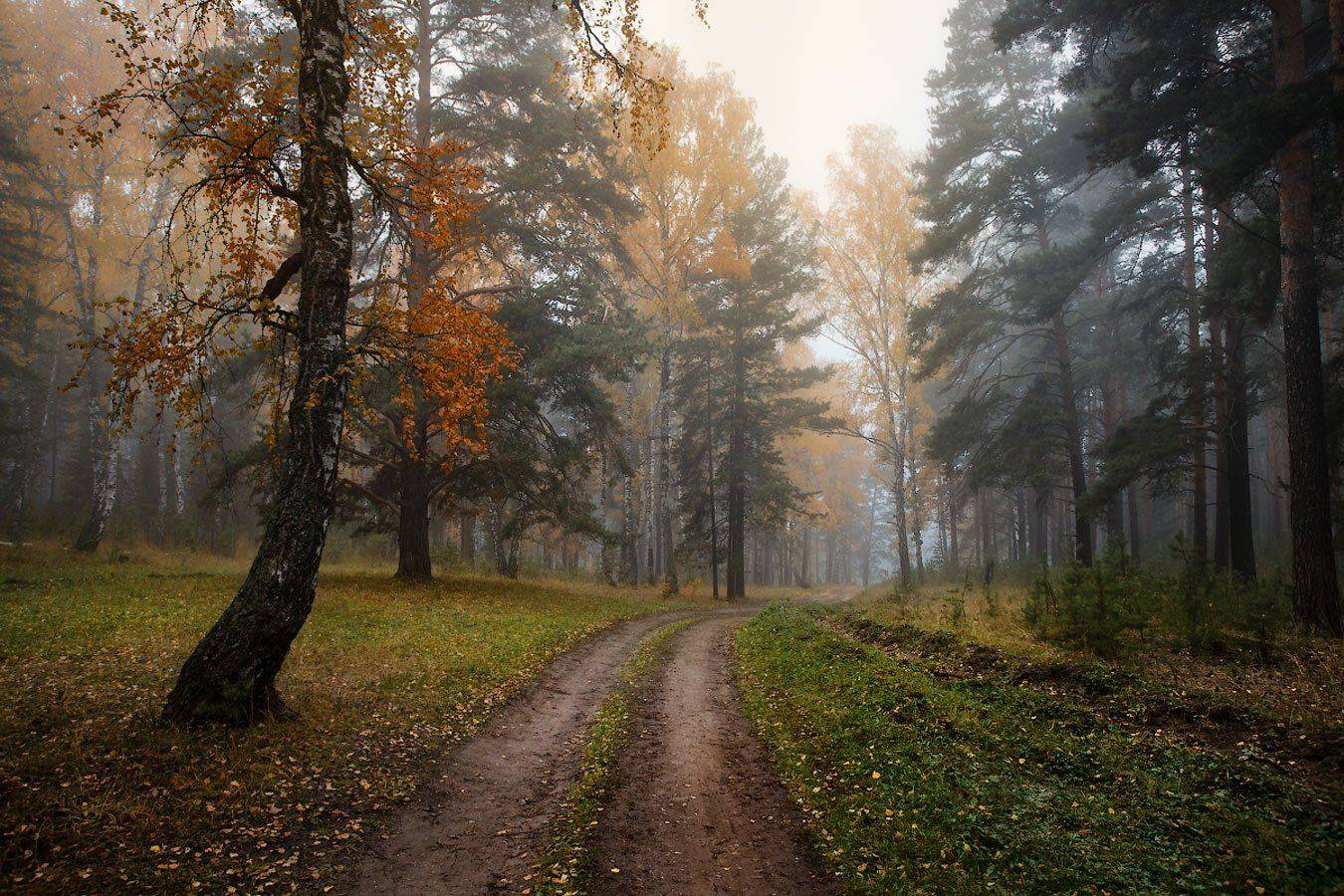 , Владимир Ляпин