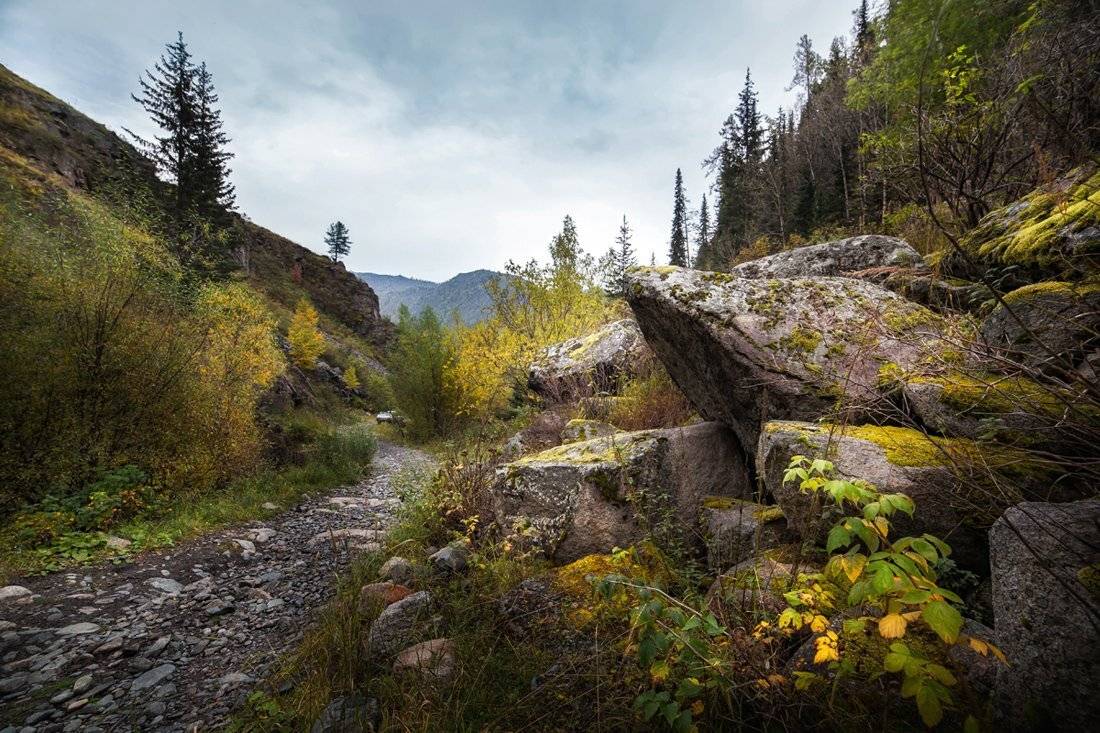 Горы, Казахстан, Камни, Катон-Карагай, Мох, Осень, Сентябрь, Ратушнова-Осинцева Арина