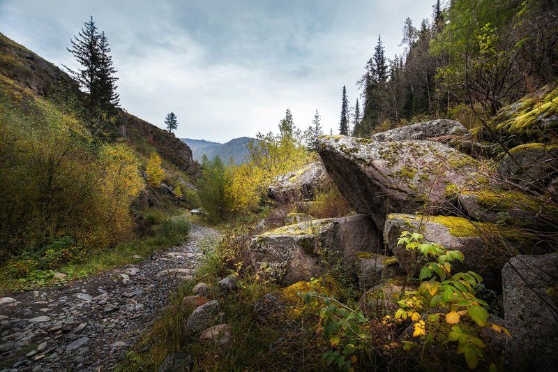Горы, Казахстан, Камни, Катон-Карагай, Мох, Осень, Сентябрь Сентябрь фото превью