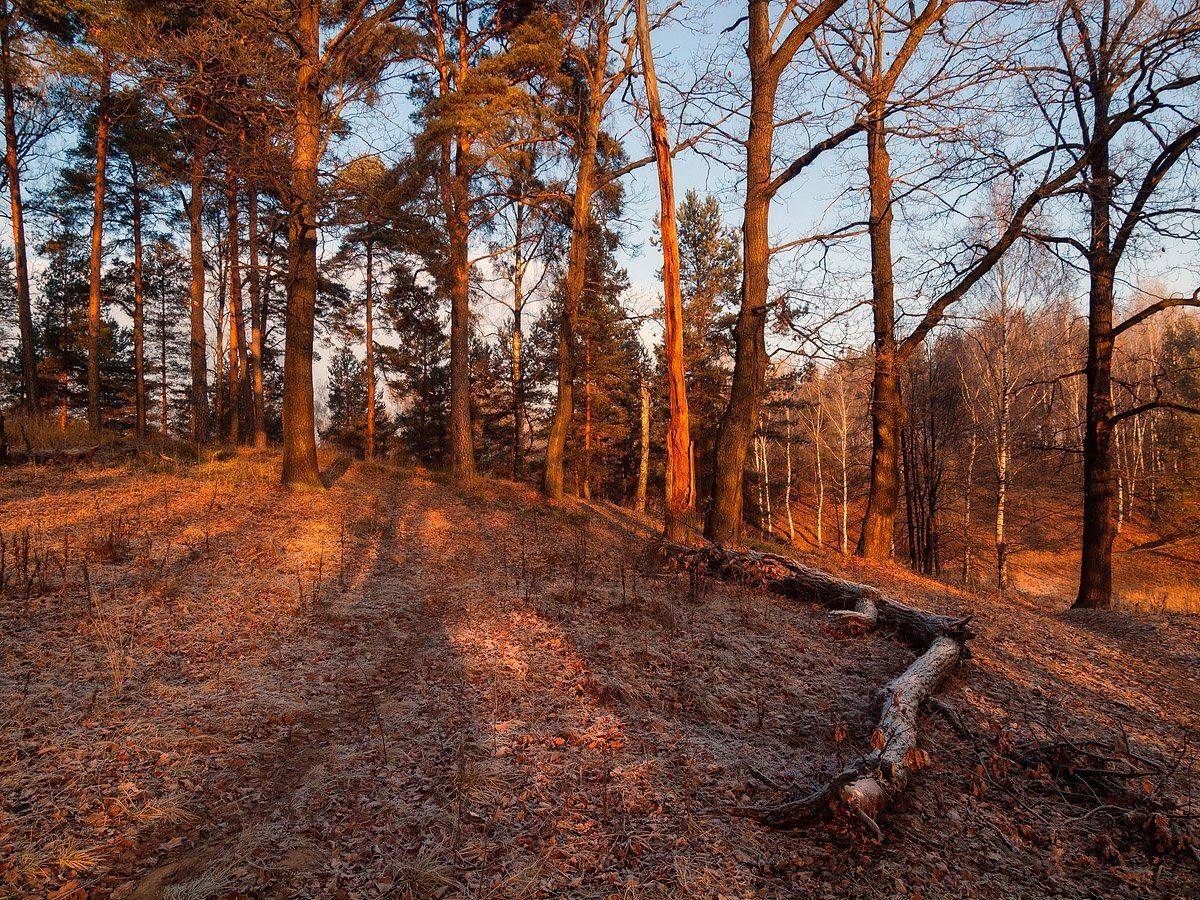 , Владимир Перепечаев