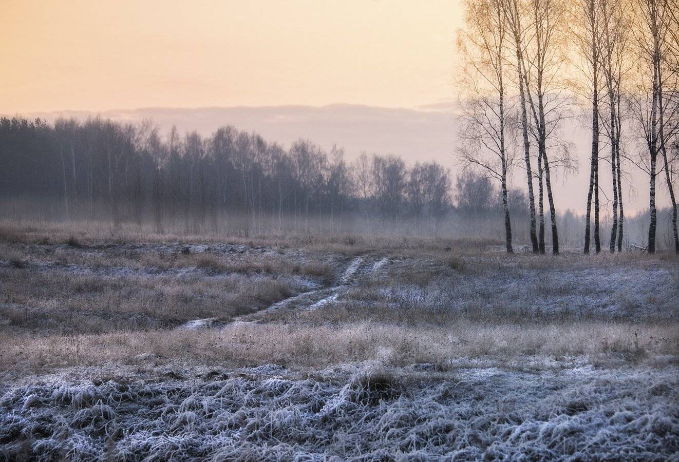 , Марина Брыдня