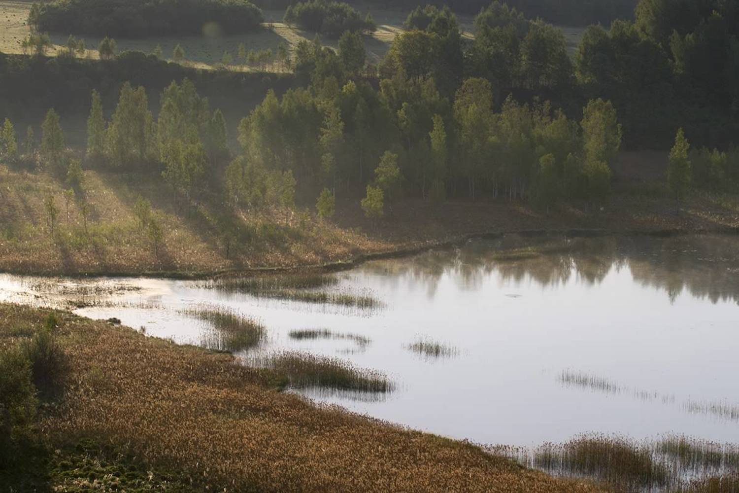, Землянский Сергей
