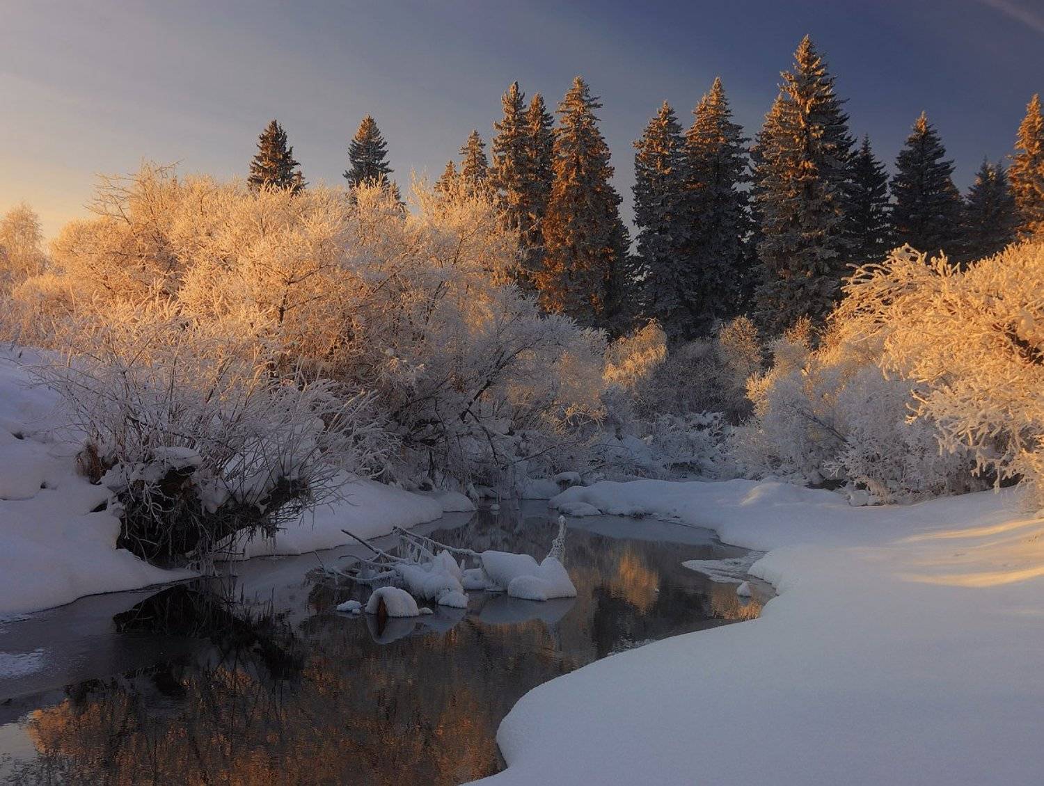 , Олег Пожарков