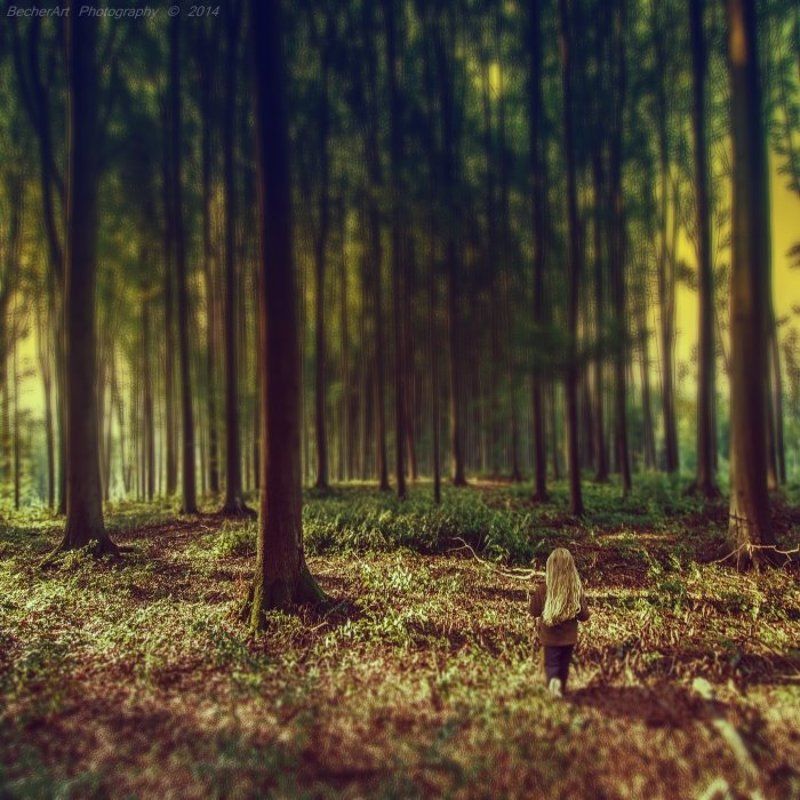 The Dream Sequencer III фото превью