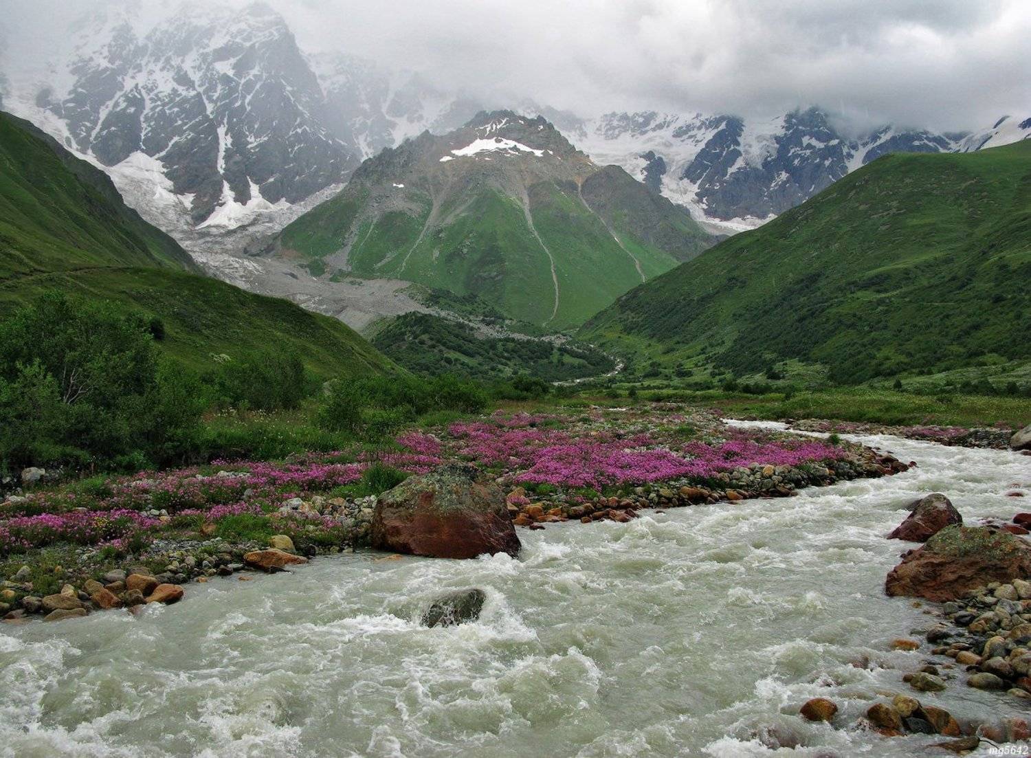 , Михаил Голубев