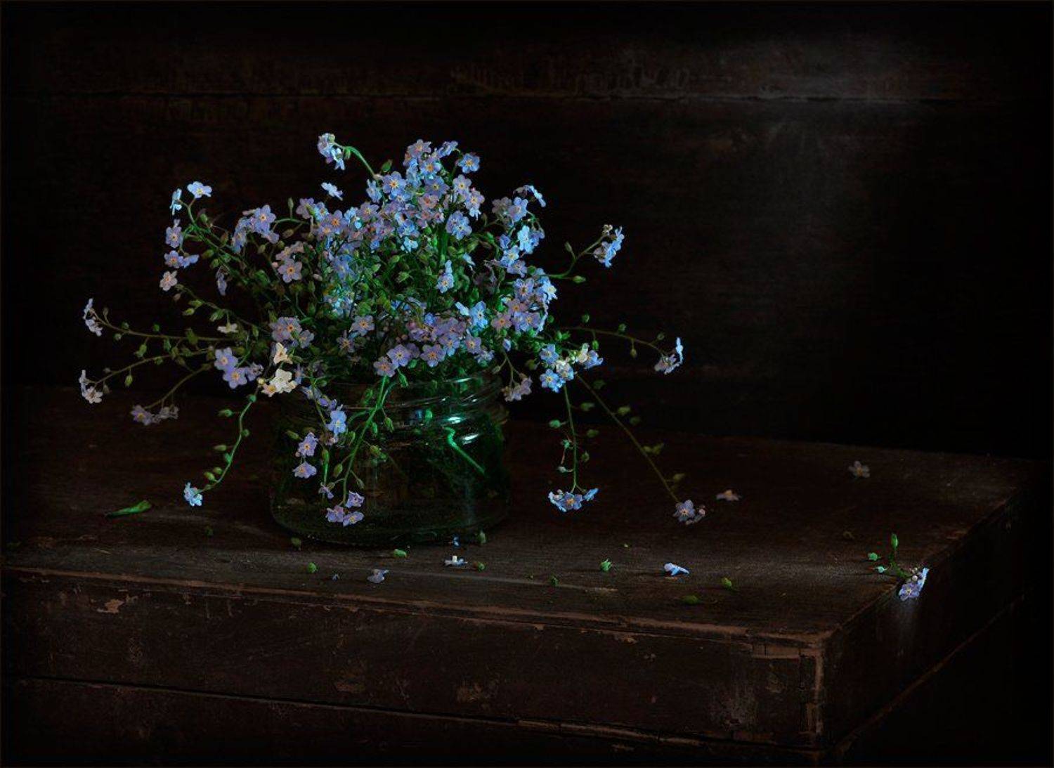 натюрморт, незабудки, Елена Соловьёва