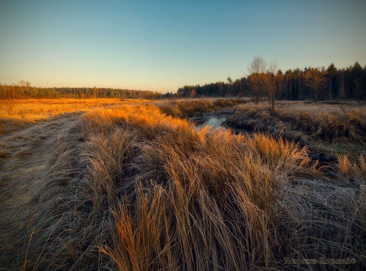 , Хохряков Николай
