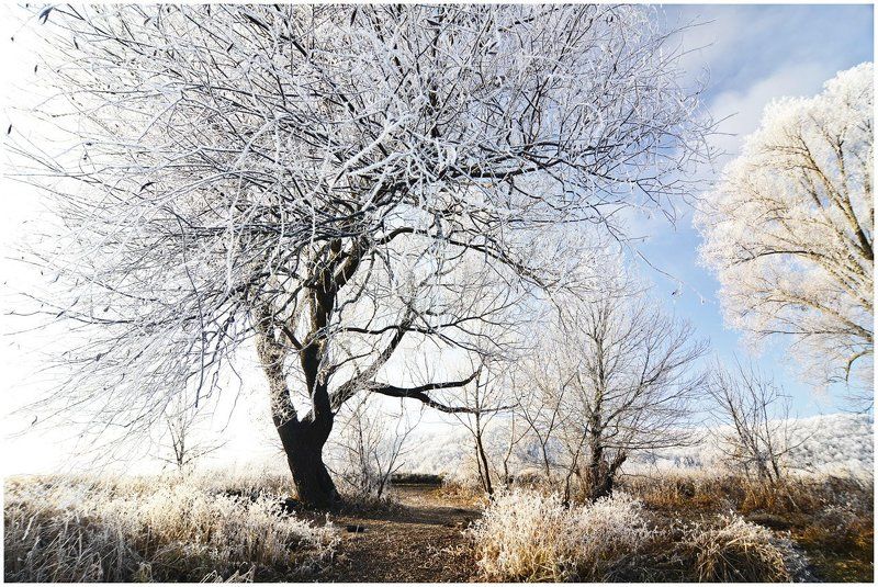 Первый лед фото превью