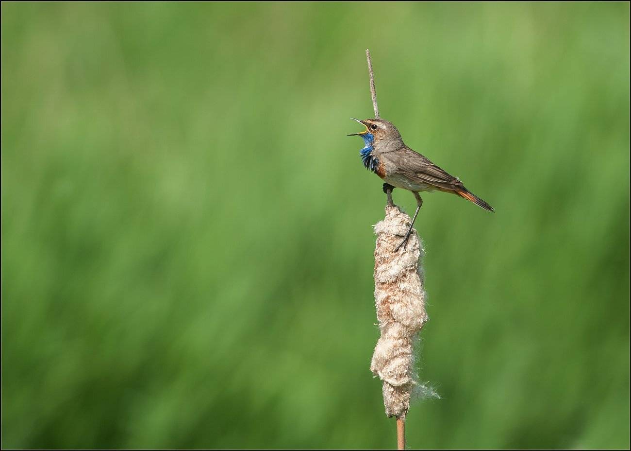 , Валерий Субачев