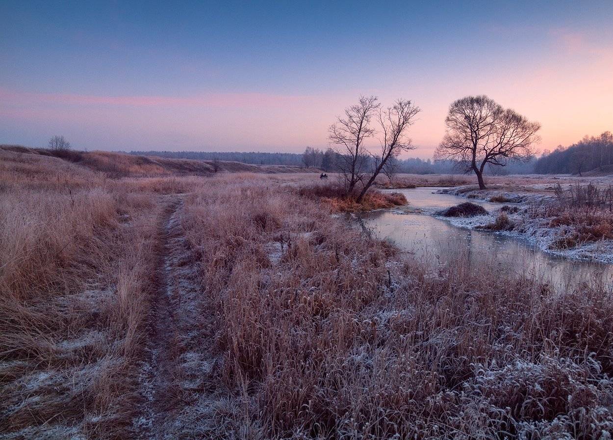 , Владимир Перепечаев
