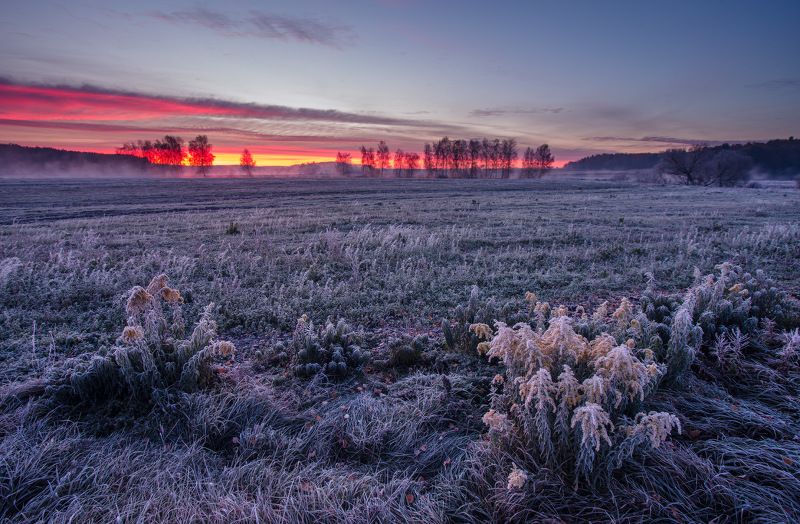 утро рассвет ноябрь свислочь иней Предзимнее состояние фото превью