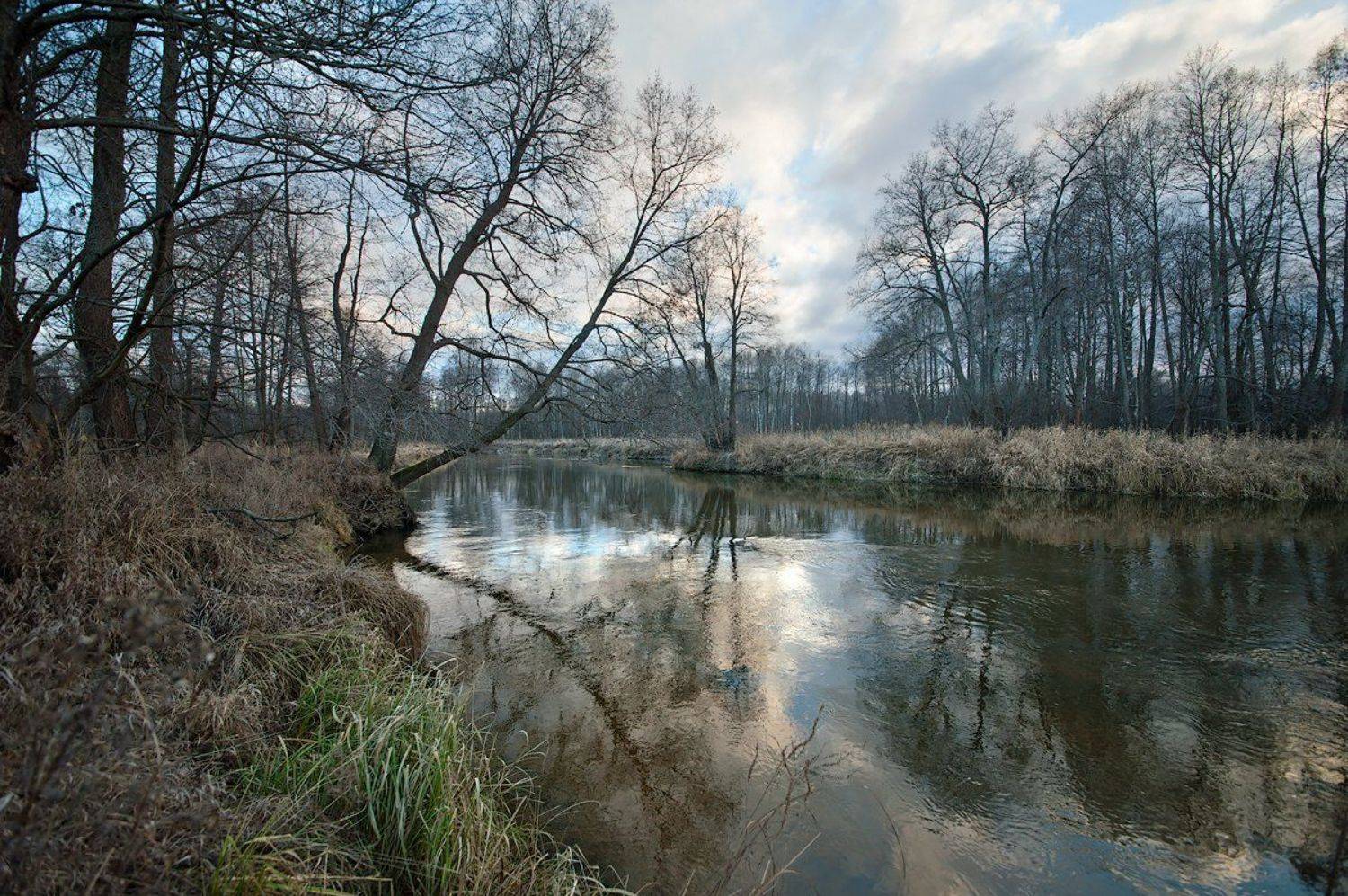 , Валерий Пешков