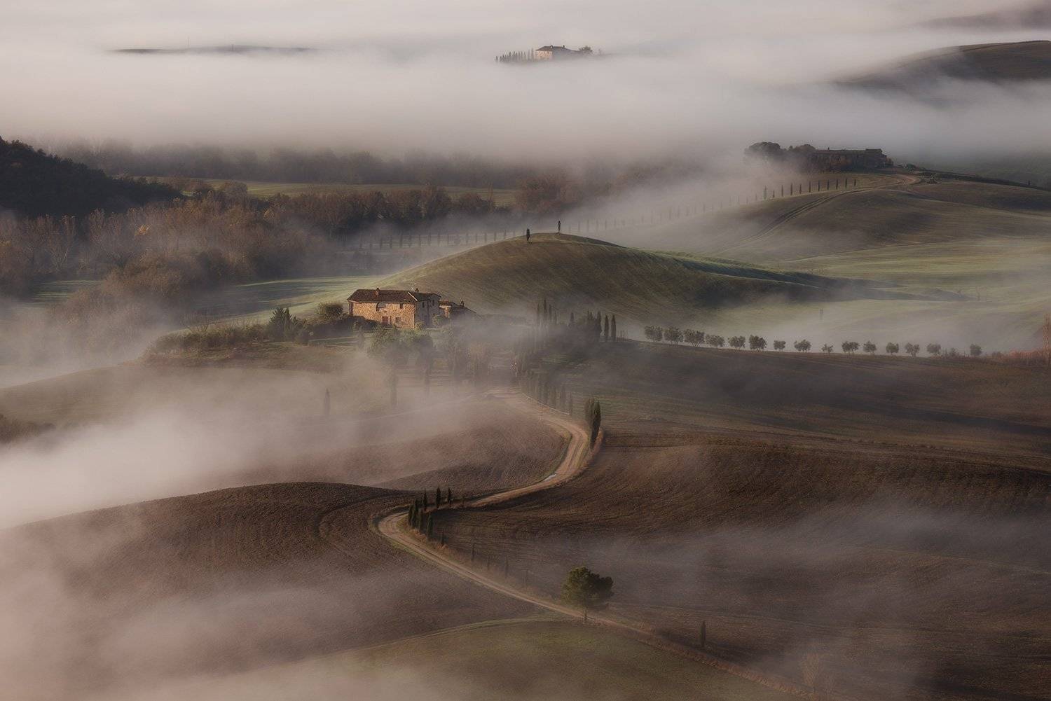 Тоскана, Дмитрий Титов