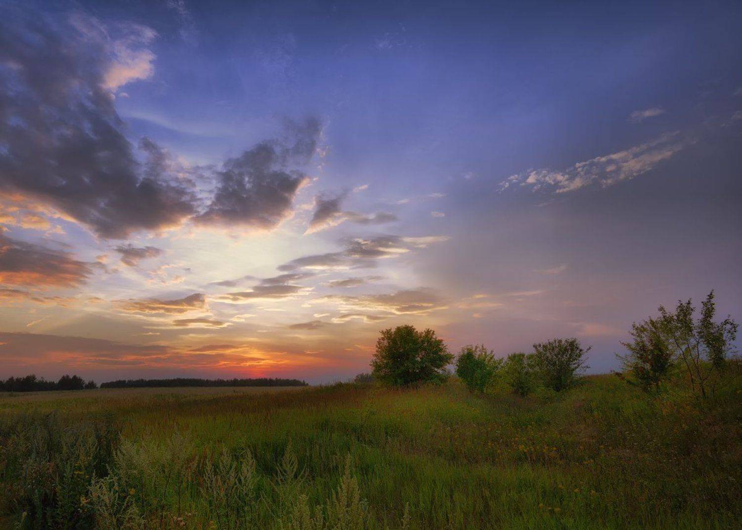 Закат, Природа, Алексей Никонов