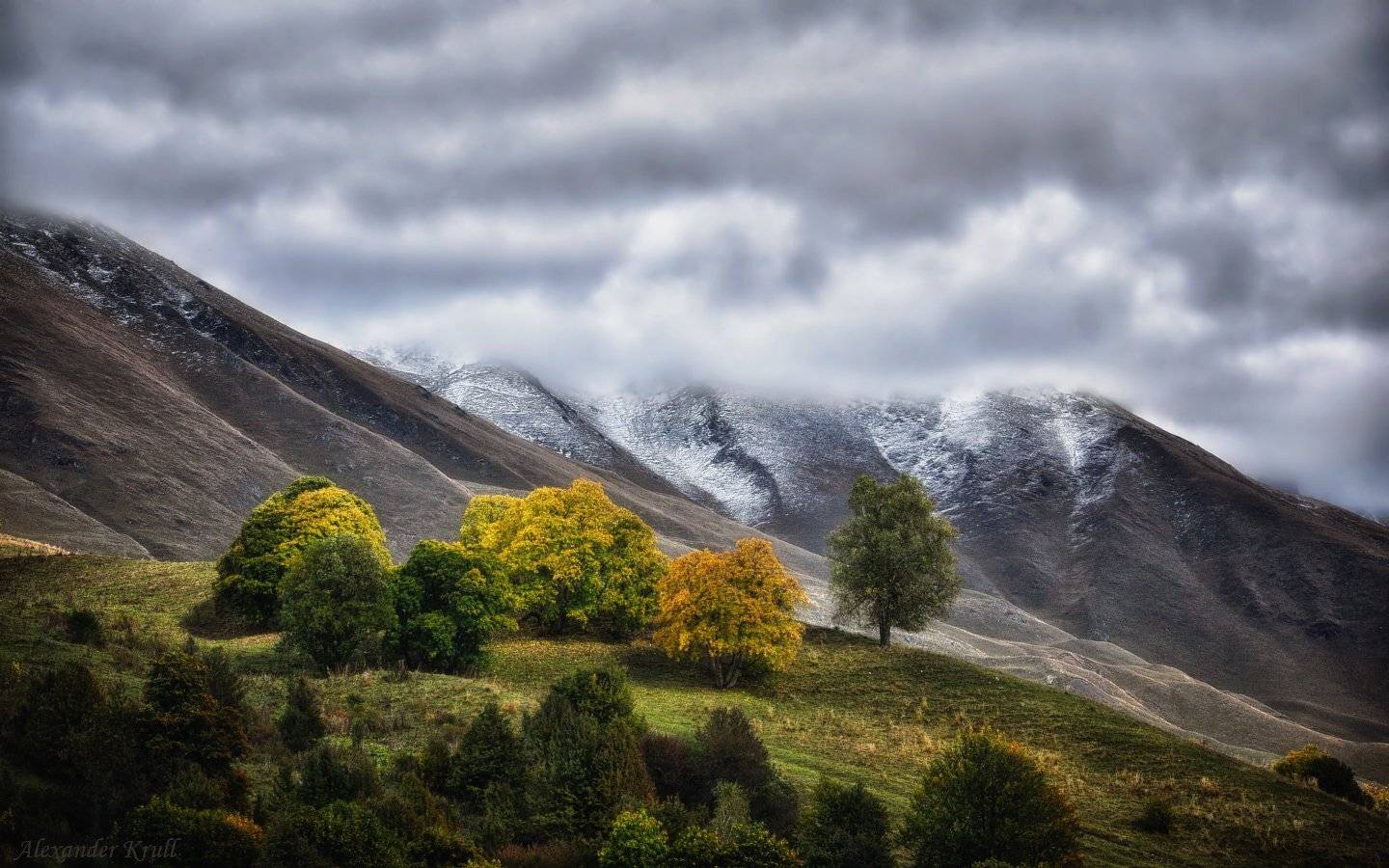кавказ кчр, Александр Круль