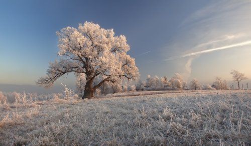 *Морозный вечер в сельской местности*