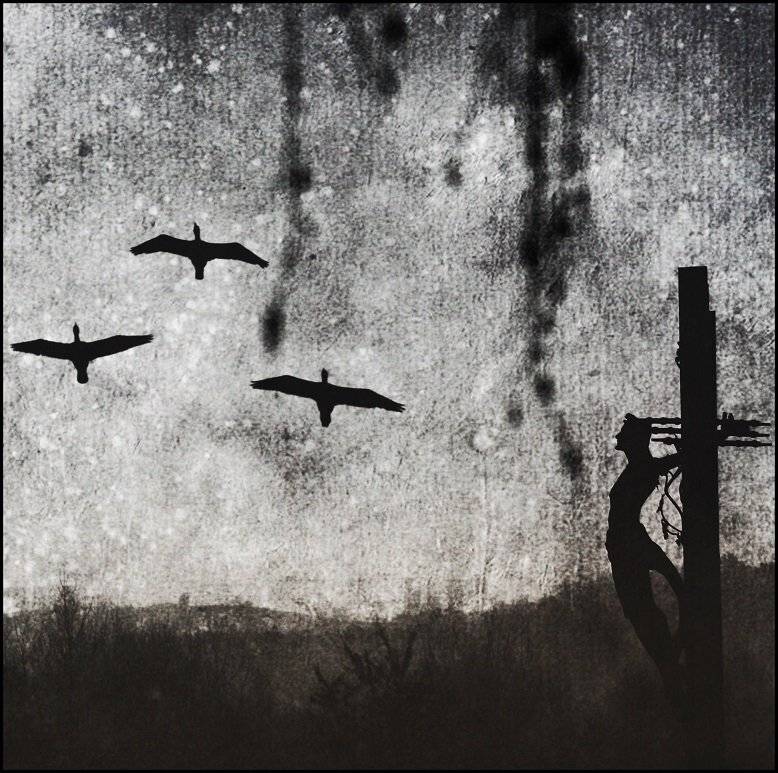 , Krzysztof Trojanowski