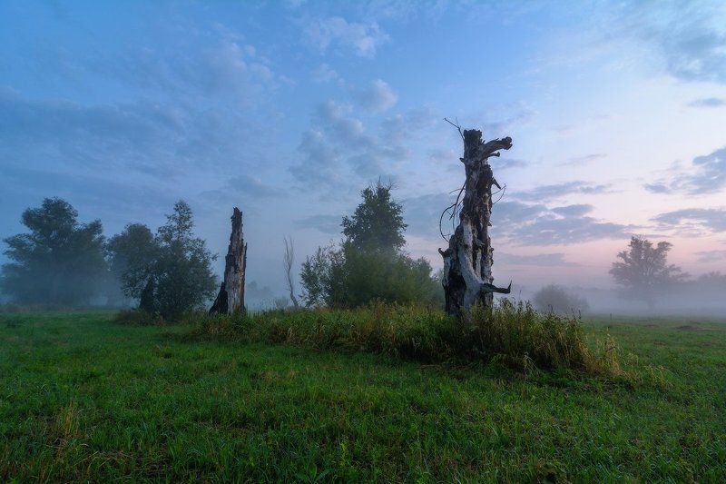 Истуканы фото превью