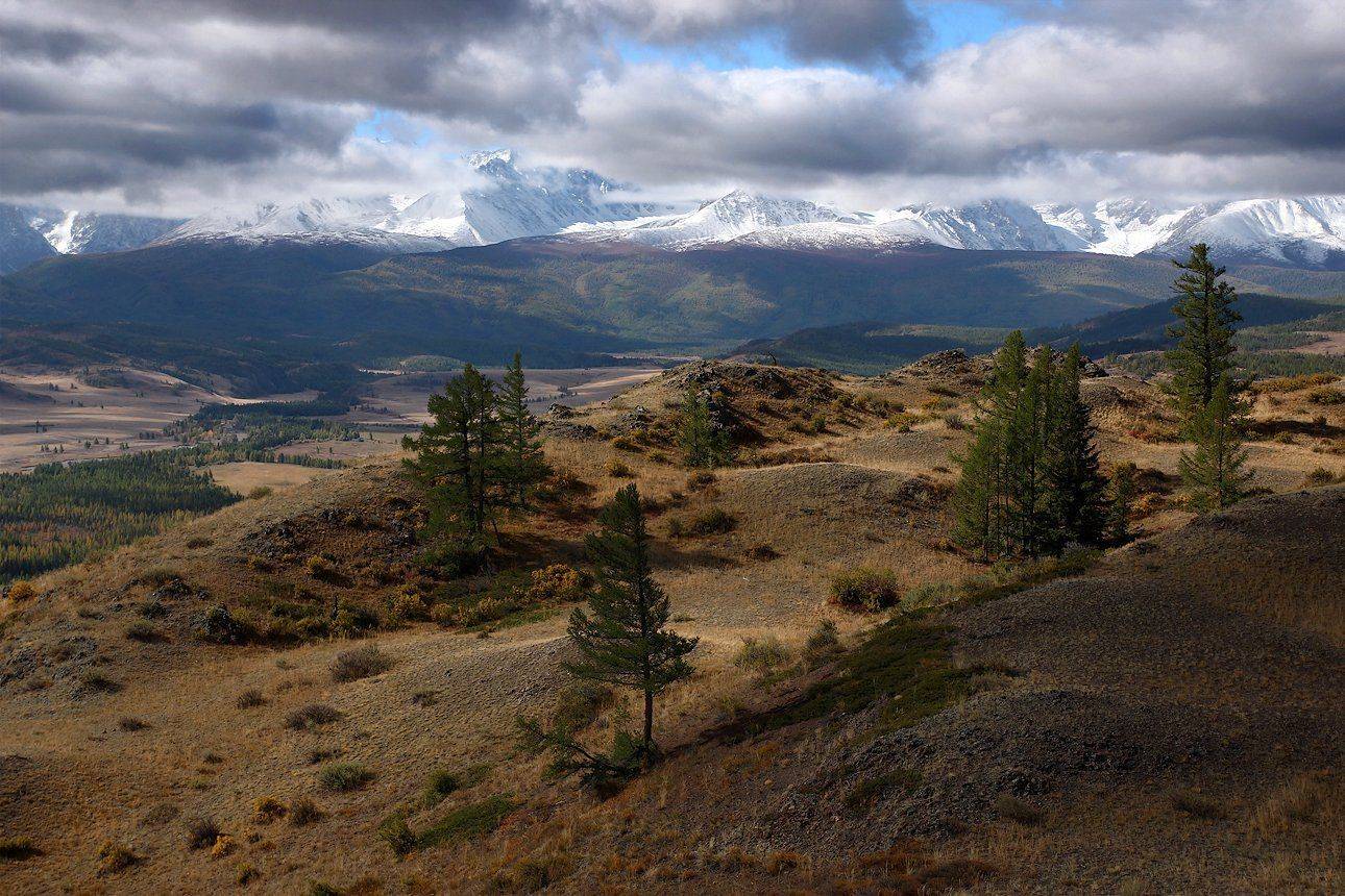 , Дмитрий Д.