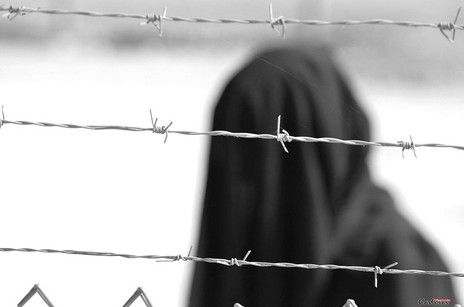 şanlıurfa , &ccedil;adırkent , ak&ccedil;akale, b&uuml;nyamin &ccedil;adırcı