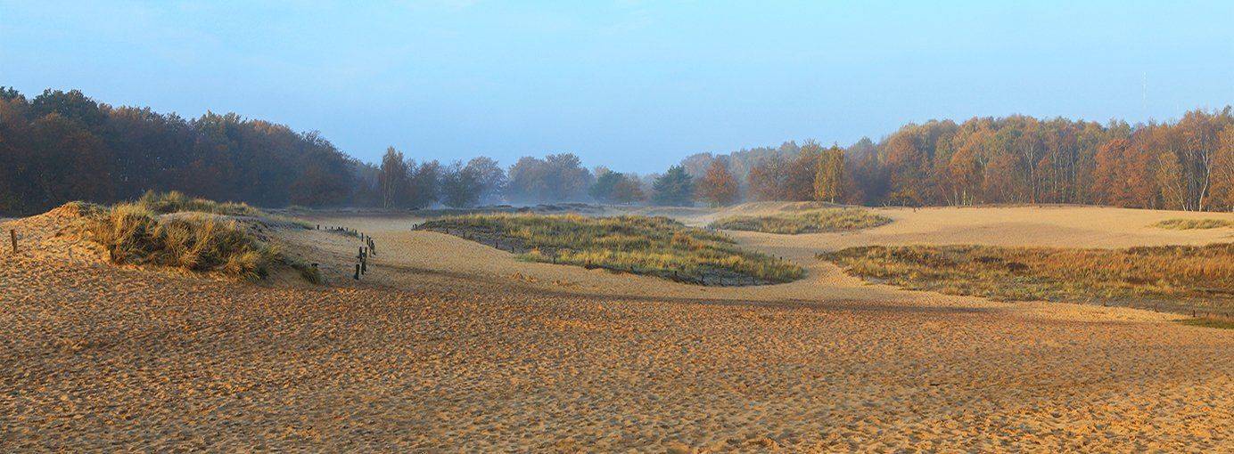 , Игорь Дубровский