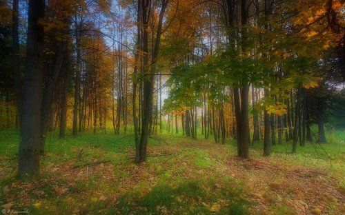Золотые шатры для мятежной души...