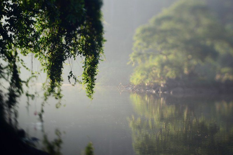 Mahaweli, River, Sri-Lanka, Махавели, Пейзаж, Природа, Река, Утро, Шри-ланка *** фото превью