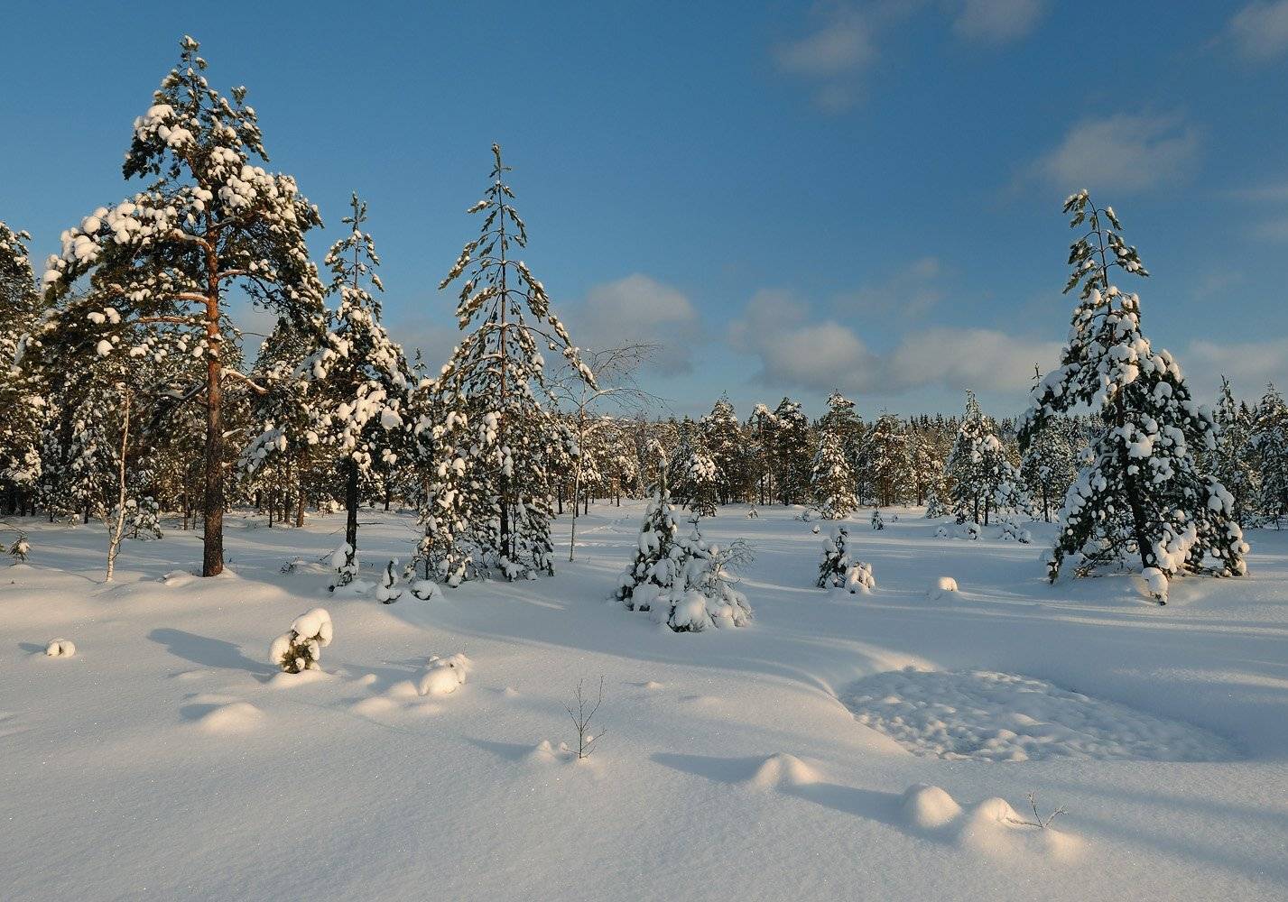 , Сергей Седов