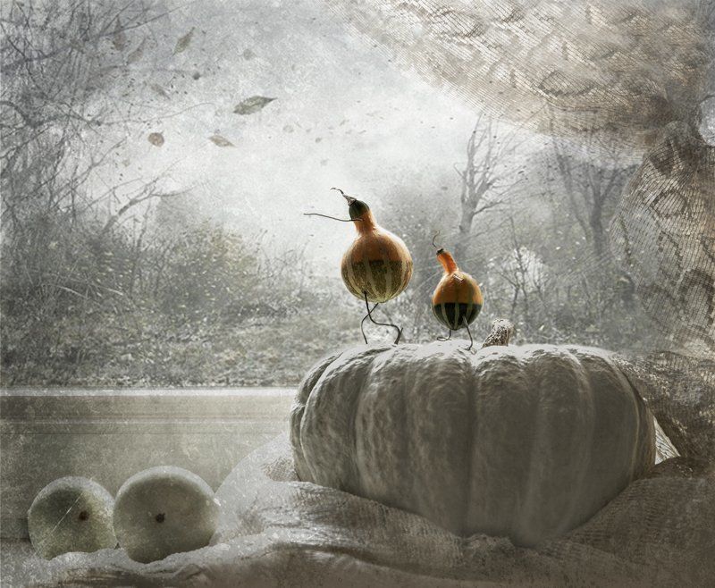 Осень, Тыквы, Фантазии, Юмор Это - осень, сынок... фото превью