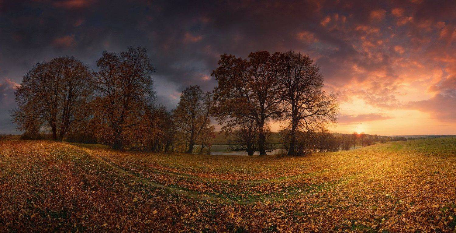 дорога, Листва, осень, утро, Владимир