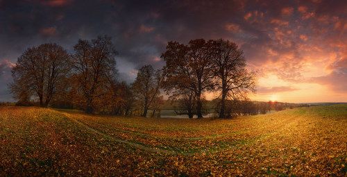 Осенний смайл