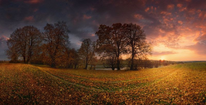 дорога, Листва, осень, утро Осенний смайл фото превью